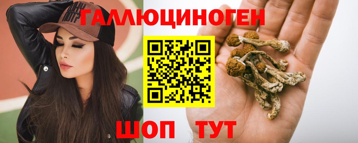 Галлюциногенные грибы Psilocybine cubensis  Вход с VPN  Гулькевичи 